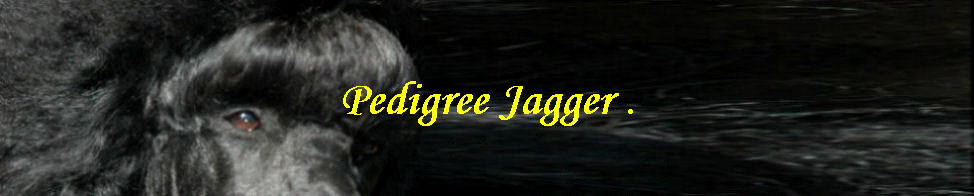 Pedigree Jagger .