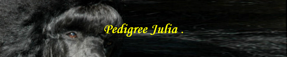 Pedigree Julia .