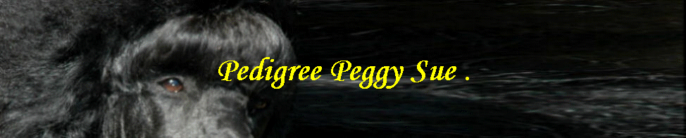 Pedigree Peggy Sue .
