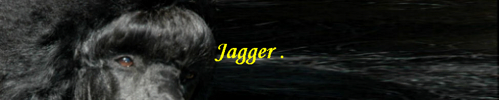 Jagger .